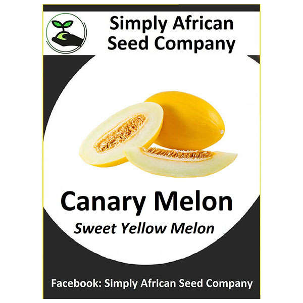 Melon Canary Yellow Seeds