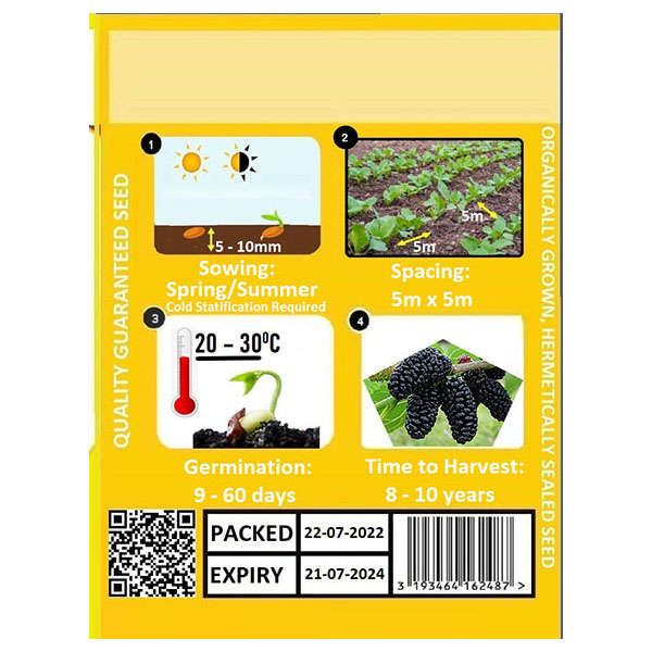 Mulberry Black Seeds