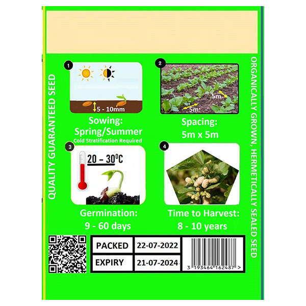 White Mulberry Seeds