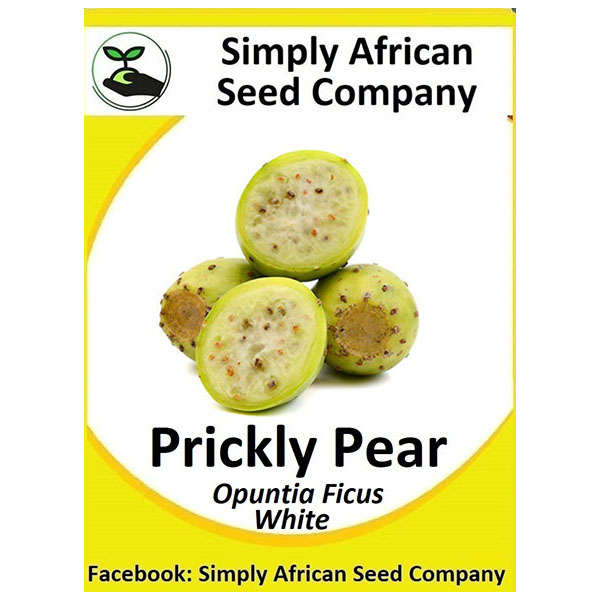 Prickley Pear White Seeds