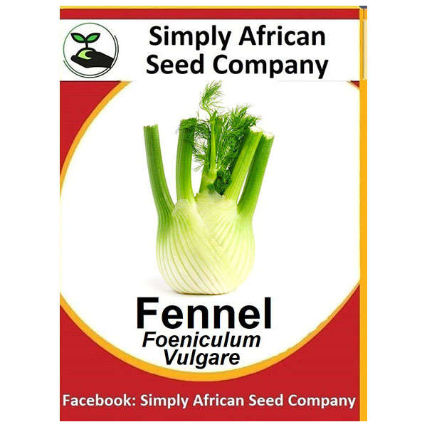 Fennel Seeds