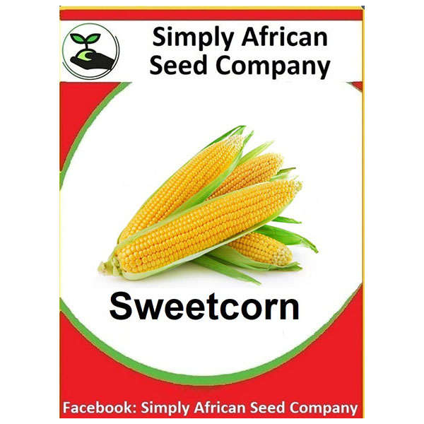 Sweet Corn Seeds
