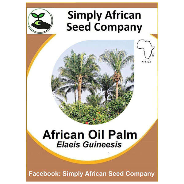 Palm African Oil (Elaeis Guineesis) 3's