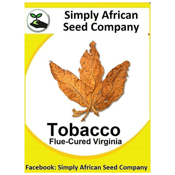 Tobacco Virginia Flue Cured Seeds