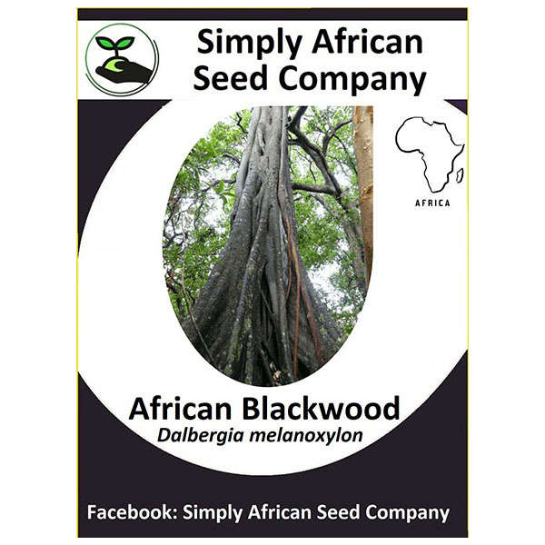 African Blackwood (Dalbergia Melanoxylon)