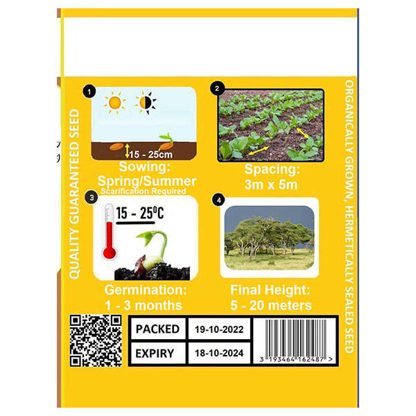 Tree Umbrella Thorn Seeds