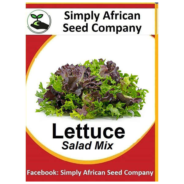 Lettuce Leaf (Salad Mix) Seeds