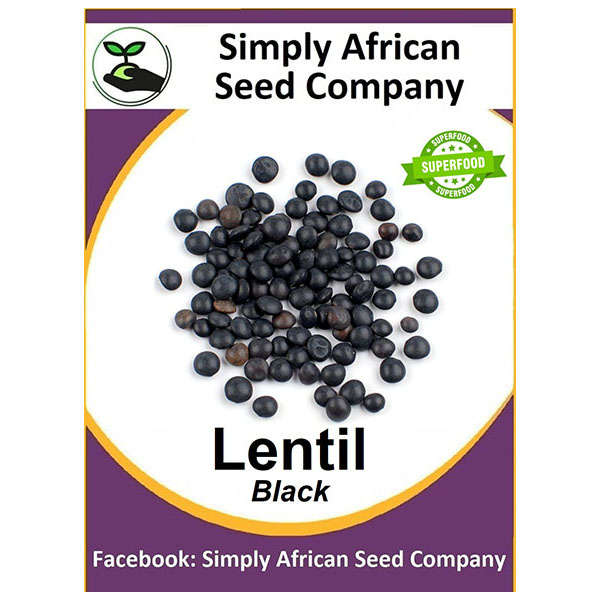Black Lentil Seeds