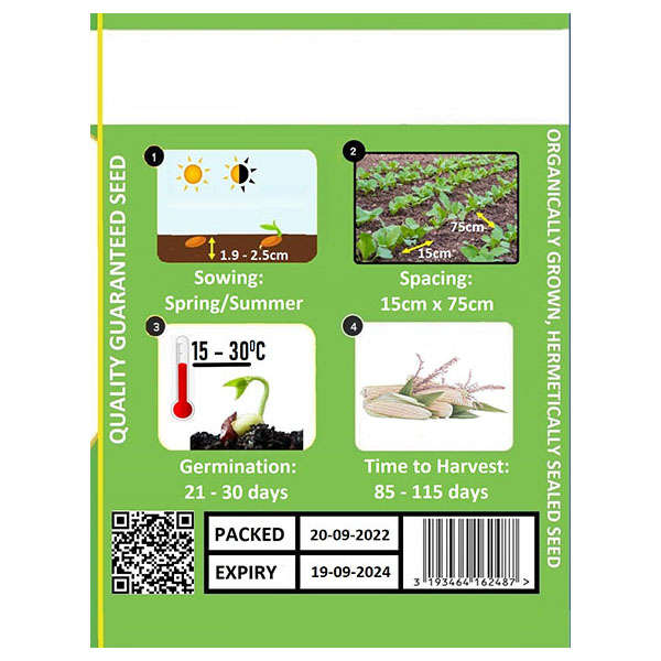 Maize Hickory King Seeds