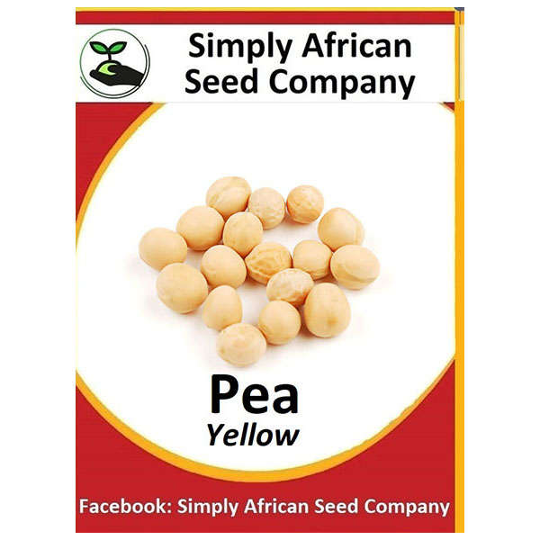 Yellow Pea Seeds