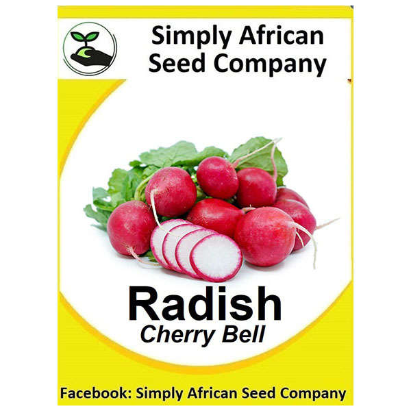 Radish (Cherry Belle) 100's