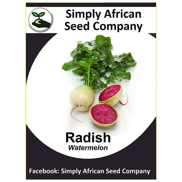 Radish  (Watermelon)