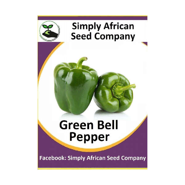 Bell Pepper Green 30's