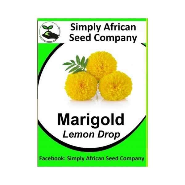 Marigold Lemon Drop Seeds