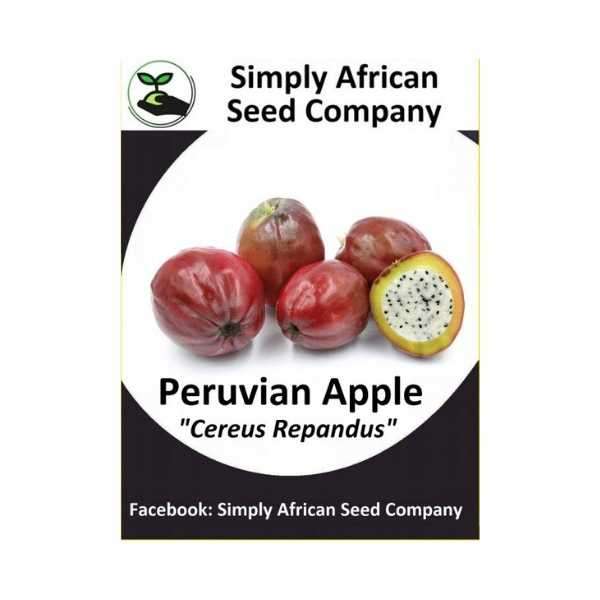 Peruvian Apple Seeds