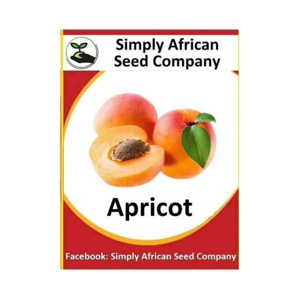 Apricot Seeds