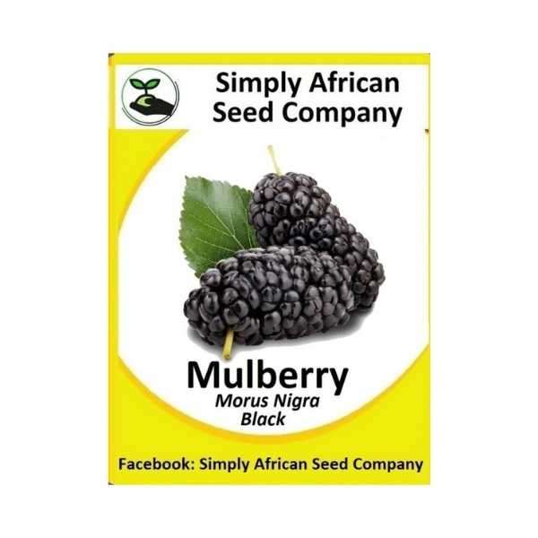 Mulberry Black Seeds