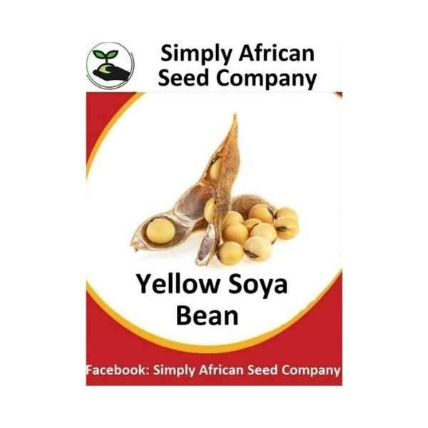 Yellow Soya Bean Seeds