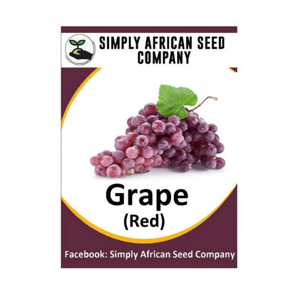 Red Globe Grape Seeds