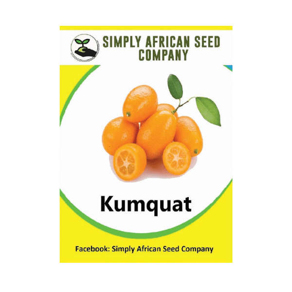 Kumquat Seeds