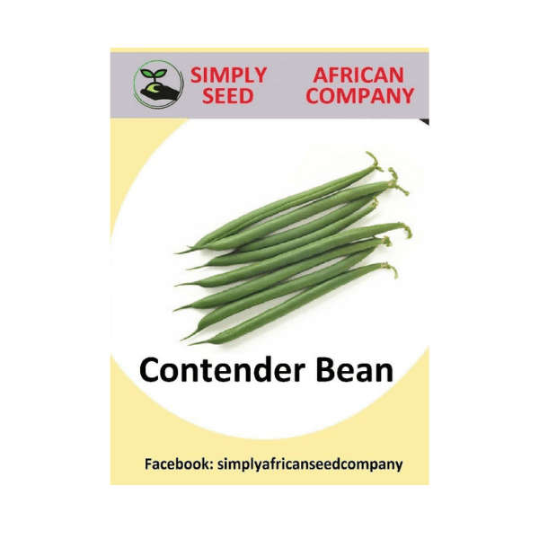 Bean Contender Seeds