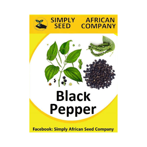 Black Pepper Seeds