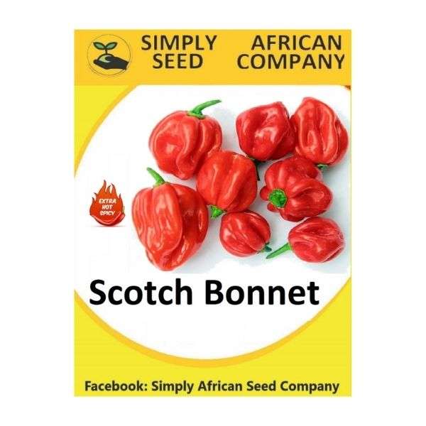 Scotch Bonnet Seeds