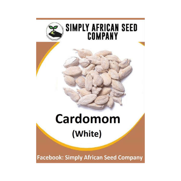 White Cardomom Seeds