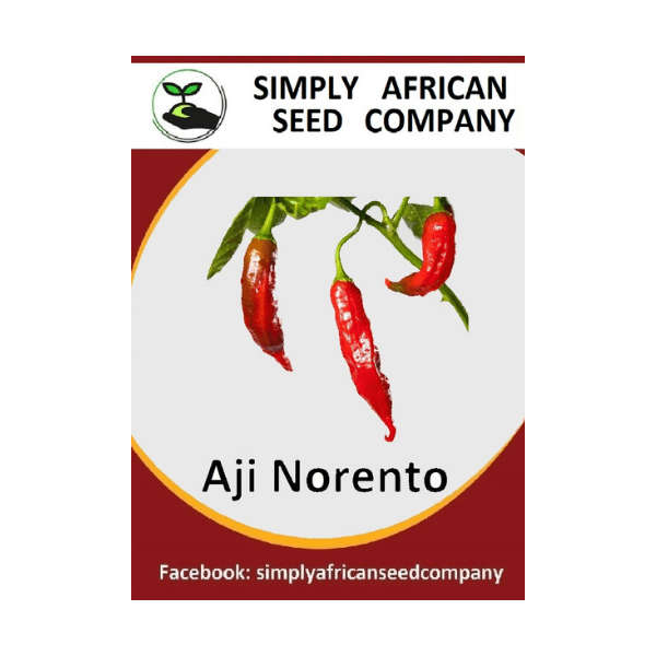 Aji Norteno Seeds