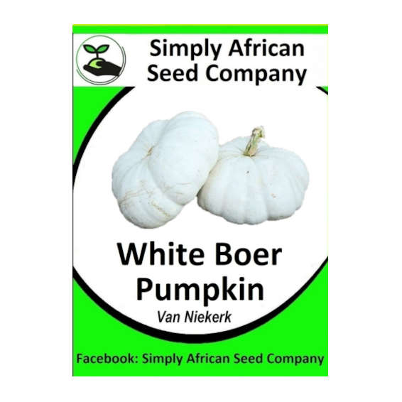 Pumpkin White Boer Pumpkin ( Van Niekerk) 20's