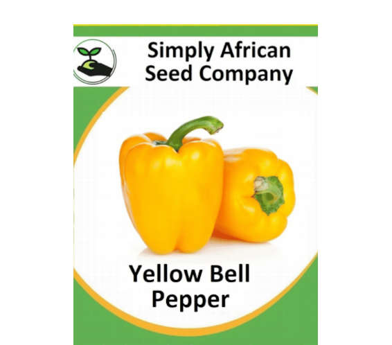 Bell Pepper Yellow 30's