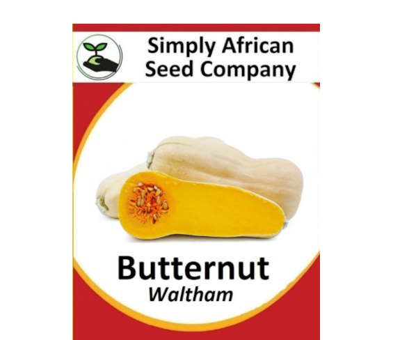 Squash Butternut Waltham 30's