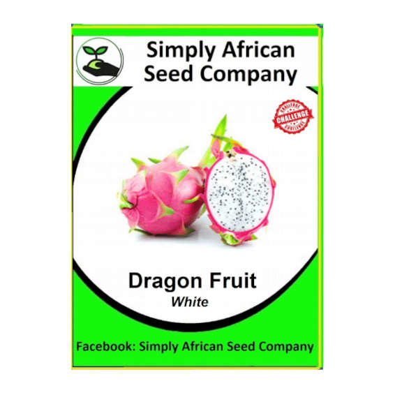 Dragon Fruit White Seeds