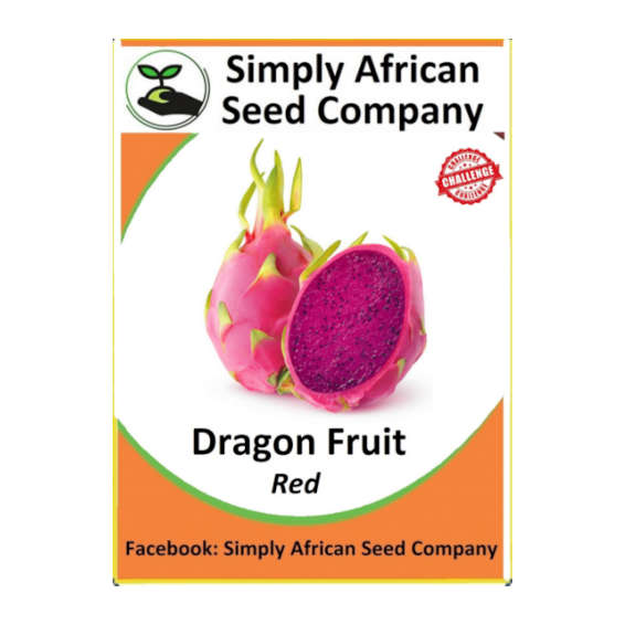 Dragon Fruit Red Seeds