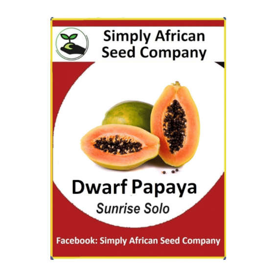Dwarf Papaya Sunrise Solo (Papino)