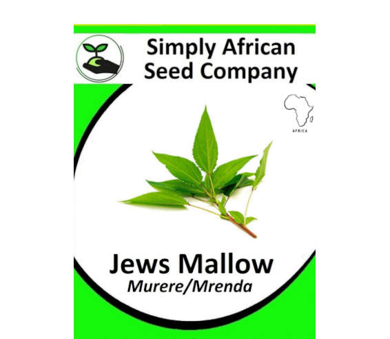 Jews Mallow Seeds 30's