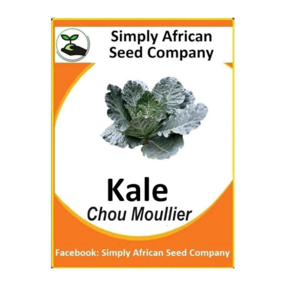 Kale (Chou Moullier) 50's