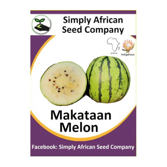 Makataan Melon 15's