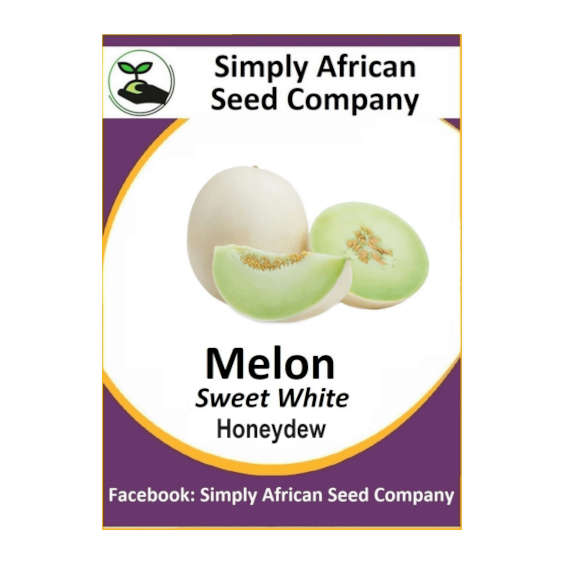 Melon Sweet White (Honeydew) 15's