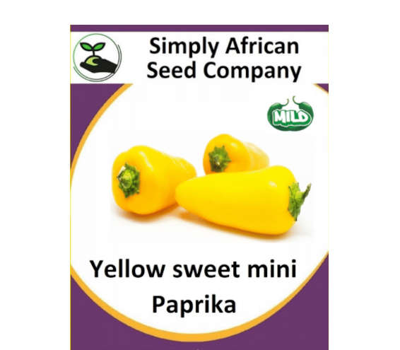 Paprika Mini Yellow 15's