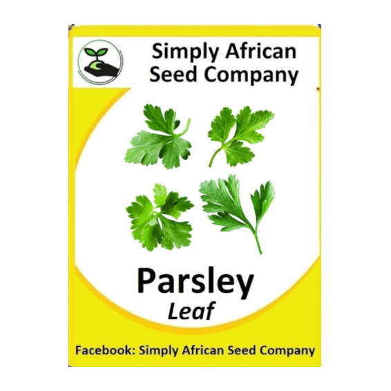 Parsley Leaf 30's