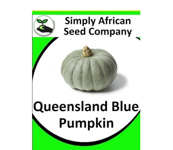 Pumpkin Queensland Blue 20's