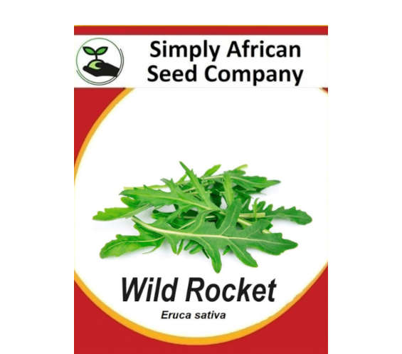 Rocket Wild (Eruca sativa) 50's