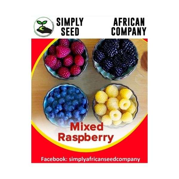 Mixed Raspberry Seeds