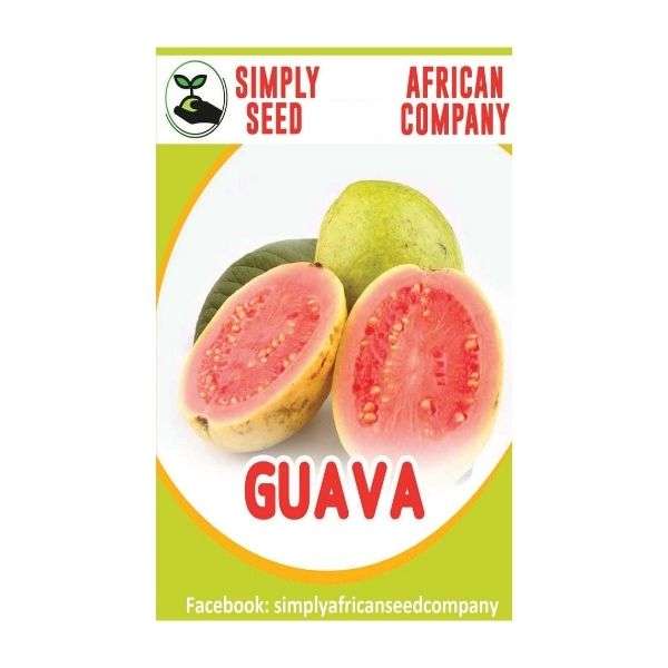 Guava Red Seeds