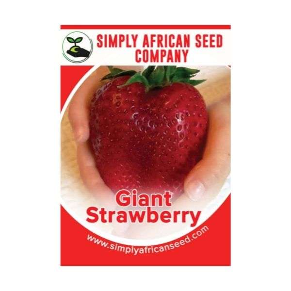 Strawberry Giant Seeds