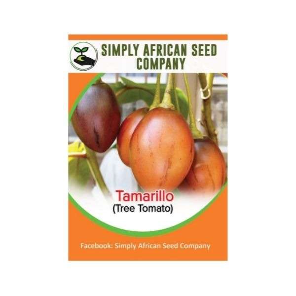 Tamarillo (Tree Tomato) Seeds