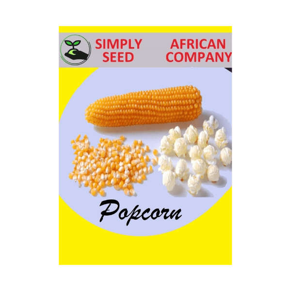 Popcorn Seeds