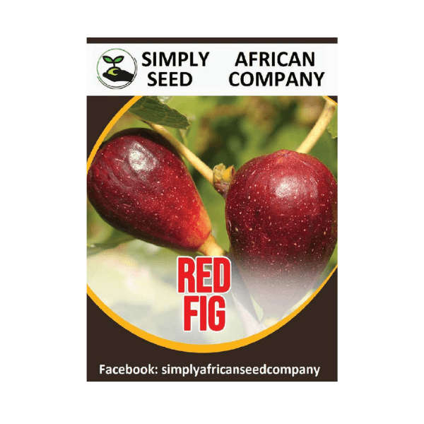 Red Fig Seeds