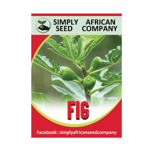 Green Fig Seeds